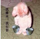 u=3638979482,3087503652&fm=0&gp=0.jpg