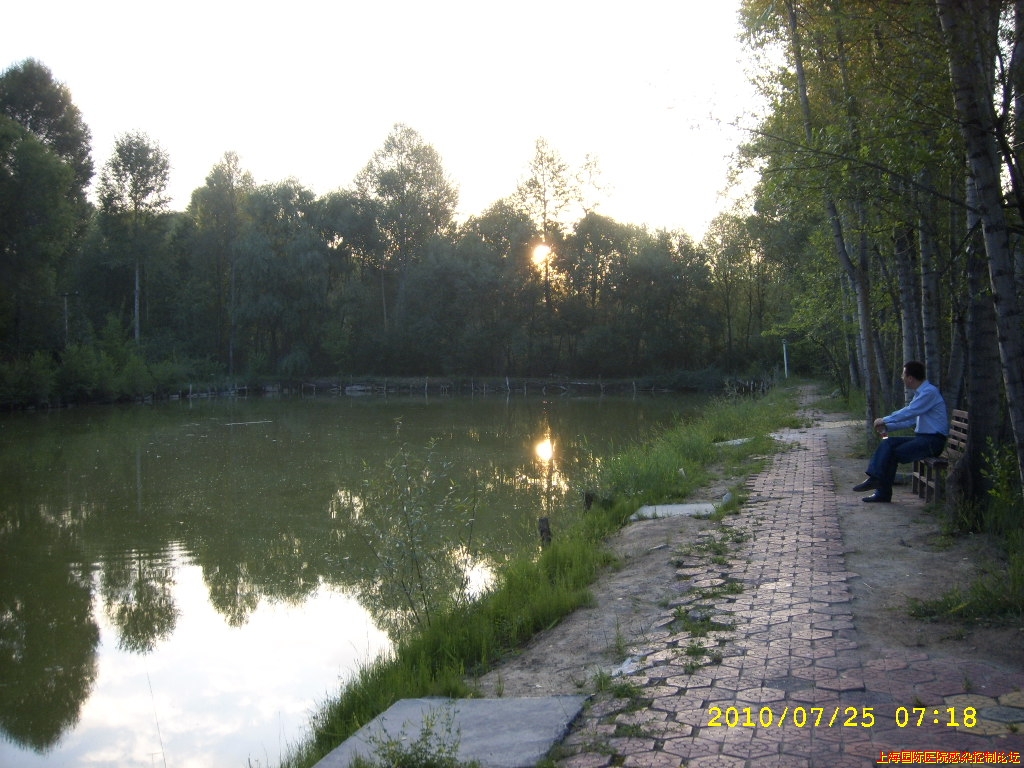 SPA58401.JPG