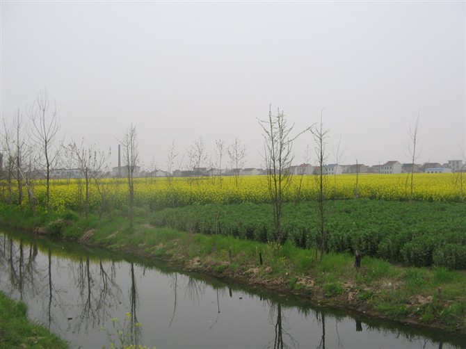 {9712879B-0CD8-46E4-9885-9A12C0D08883}.jpg