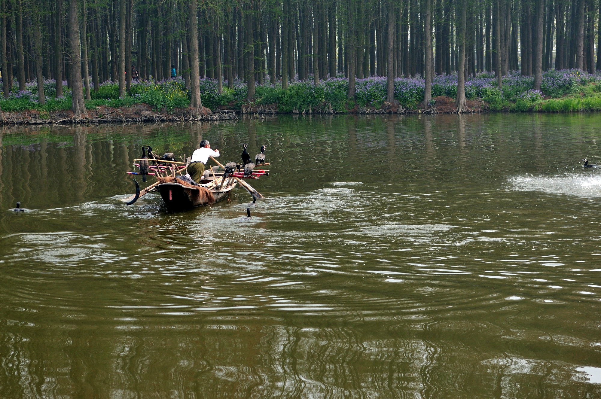 水上森林_01_41.JPG