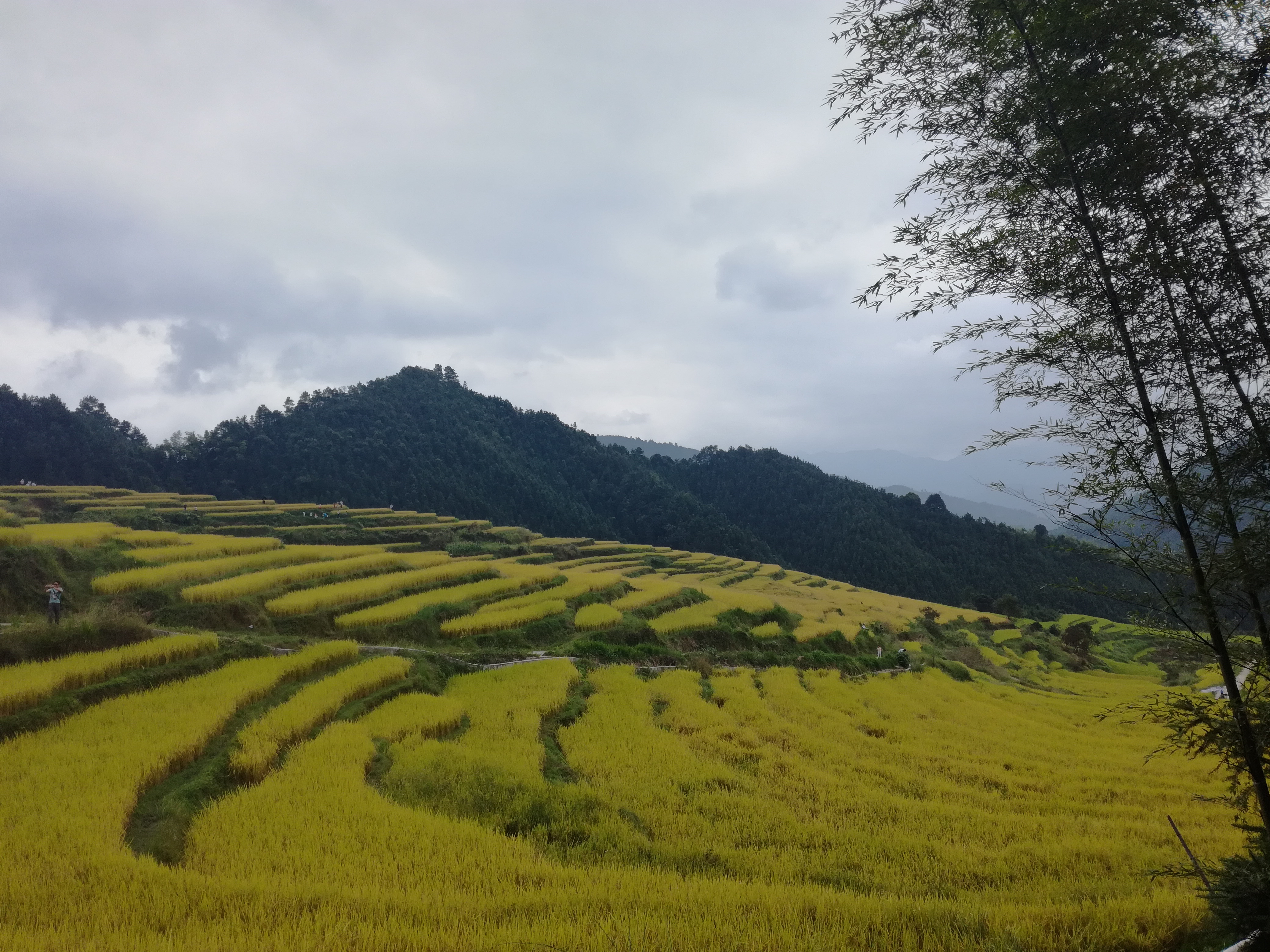 欧家梯田