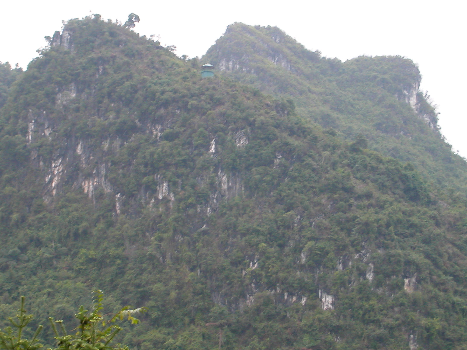 DSCN6125.JPG