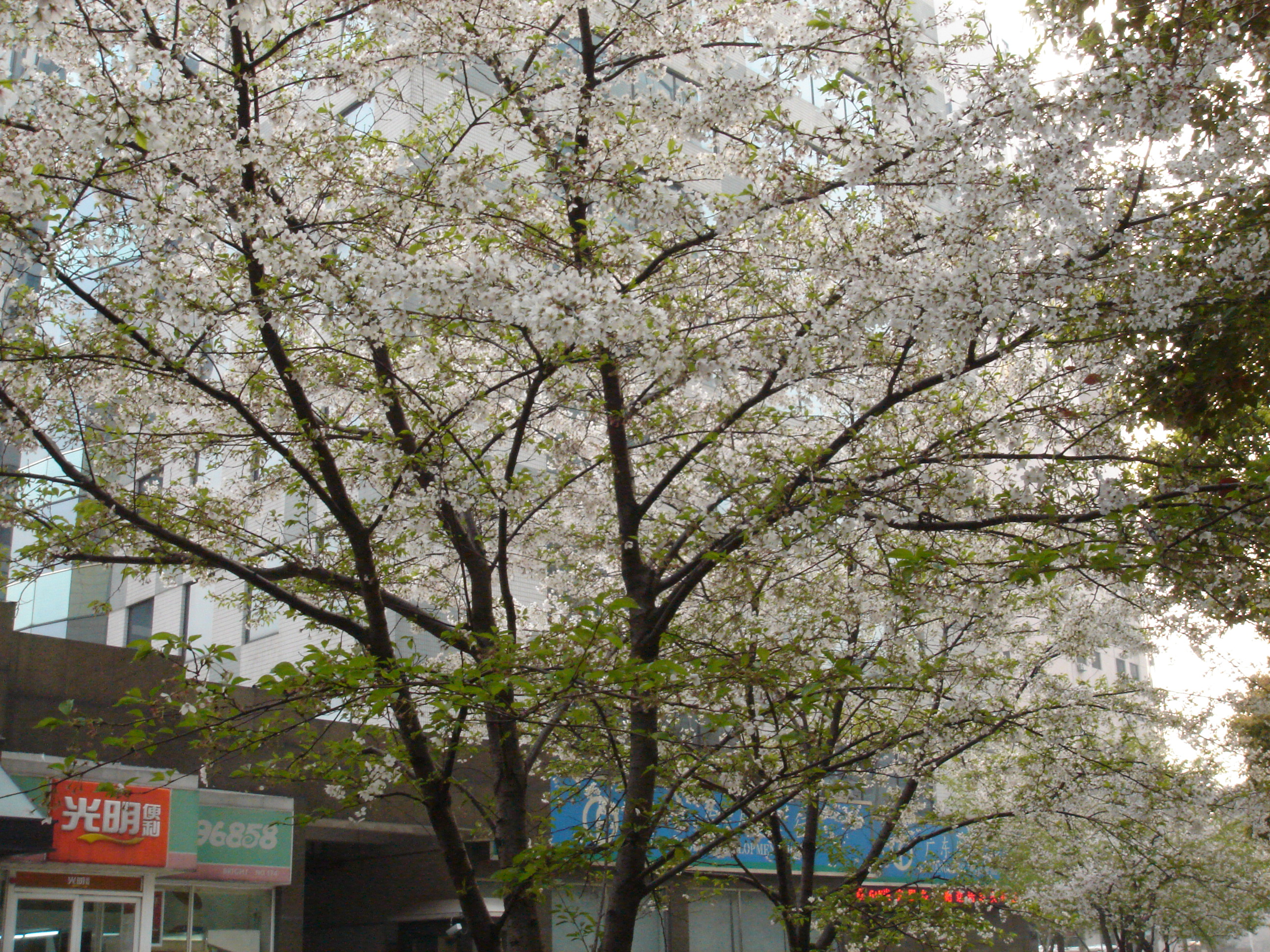 DSC09768.JPG